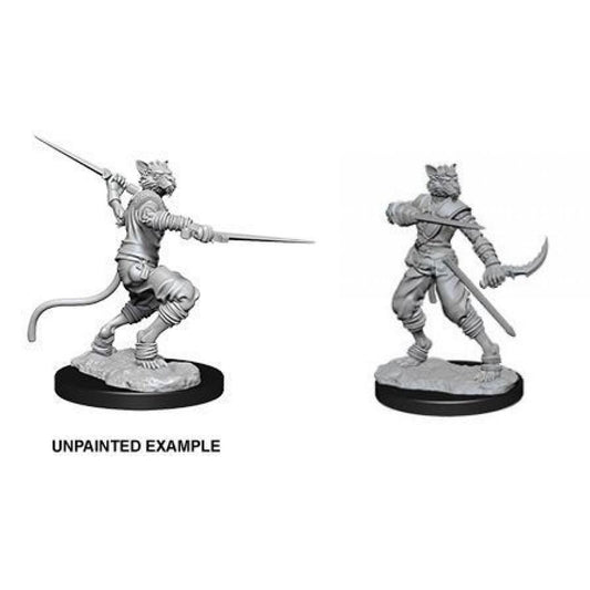 D&D Nolzurs Marvelous Unpainted Miniatures: Tabaxi Rogue Male - Dungeons & Dragons