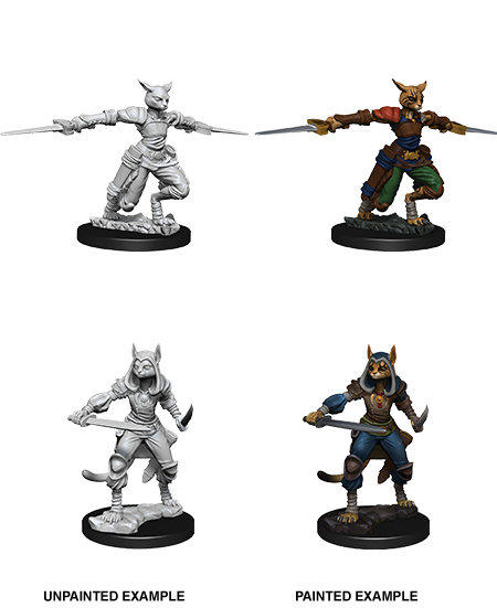 D&D Nolzurs Marvelous Unpainted Miniatures: Tabaxi Rogue Female - Dungeons & Dragons