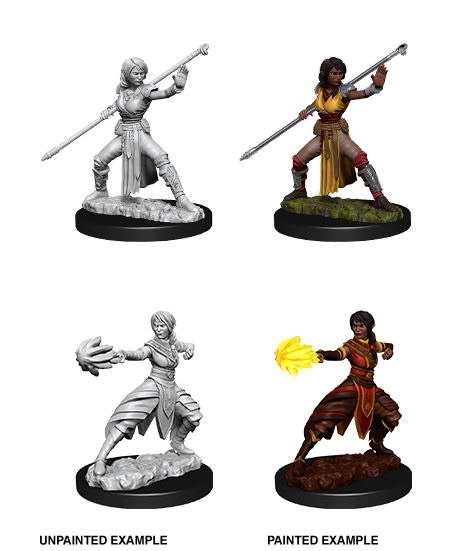 D&D Nolzurs Marvelous Unpainted Miniatures: Half Elf Monk Female - Dungeons & Dragons