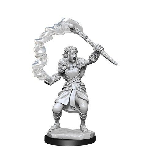 D&D Nolzurs Marvelous Unpainted Miniatures: Firbolg Druid Female - Dungeons & Dragons