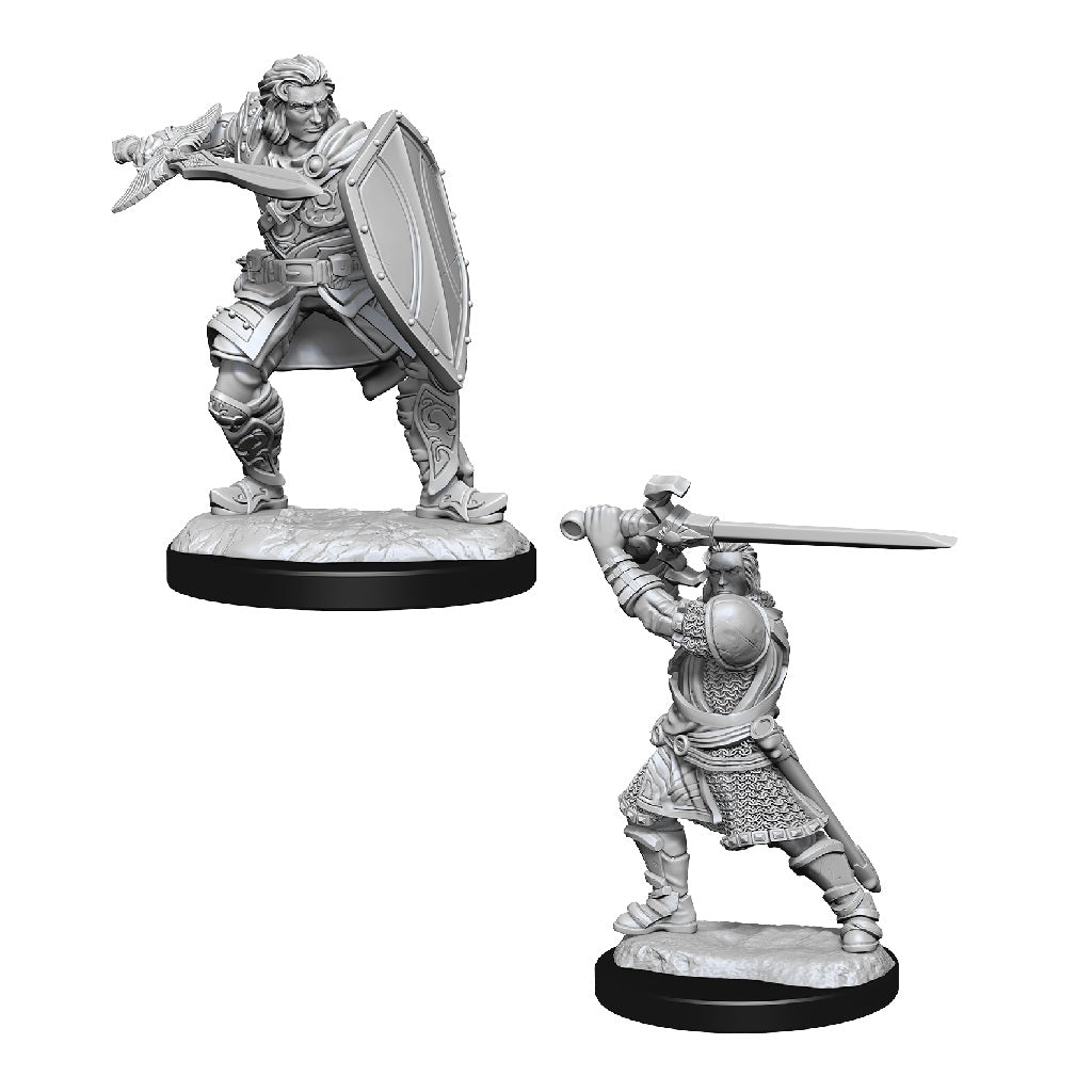 D&D Nolzurs Marvelous Unpainted Miniatures: Human Paladin Male - Dungeons & Dragons