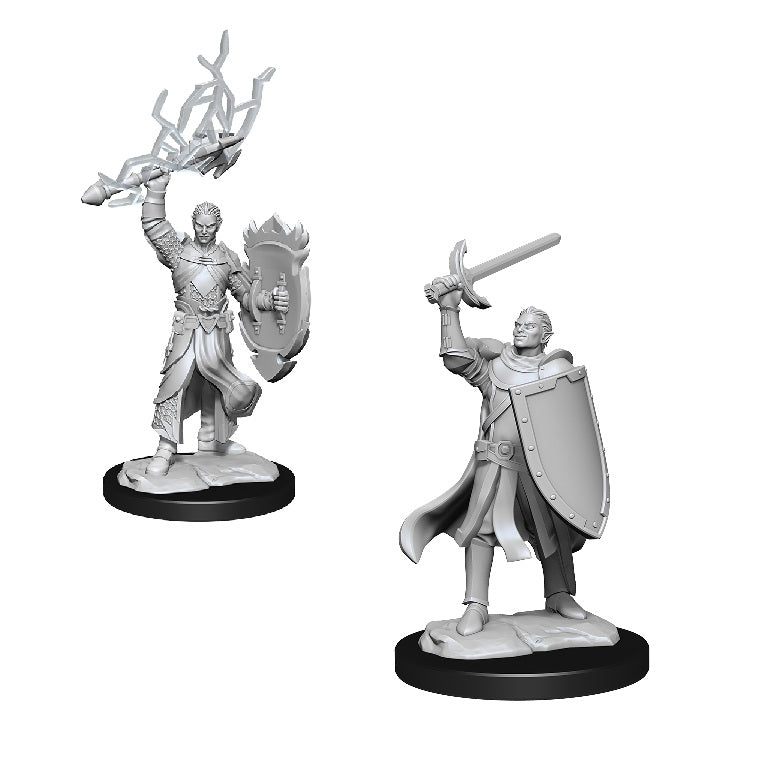 D&D Nolzurs Marvelous Unpainted Miniatures: Half-Elf Paladin Male - Dungeons & Dragons